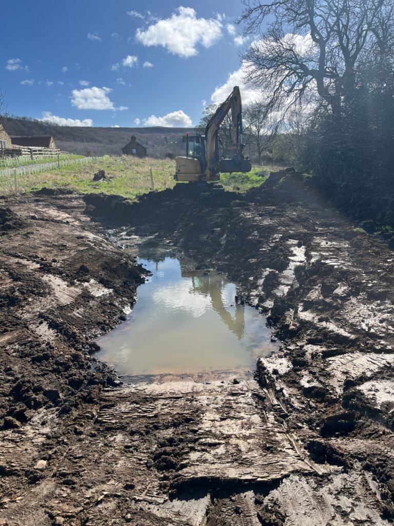 Great Crested Newt habitat pond created by Terravetus under the Wildlife Trust District Level Licensing (DLL) scheme.