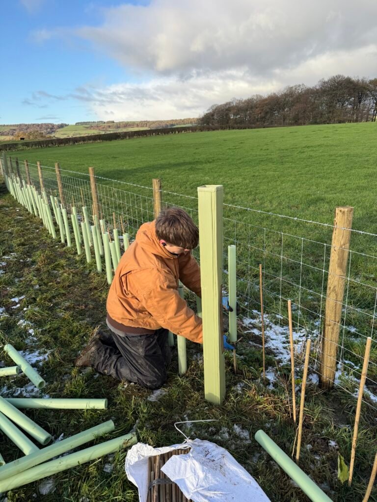 Terravetus contractor planting a native conservation hedgerow, establishing new wildlife corridors and field boundaries on a UK farm.
