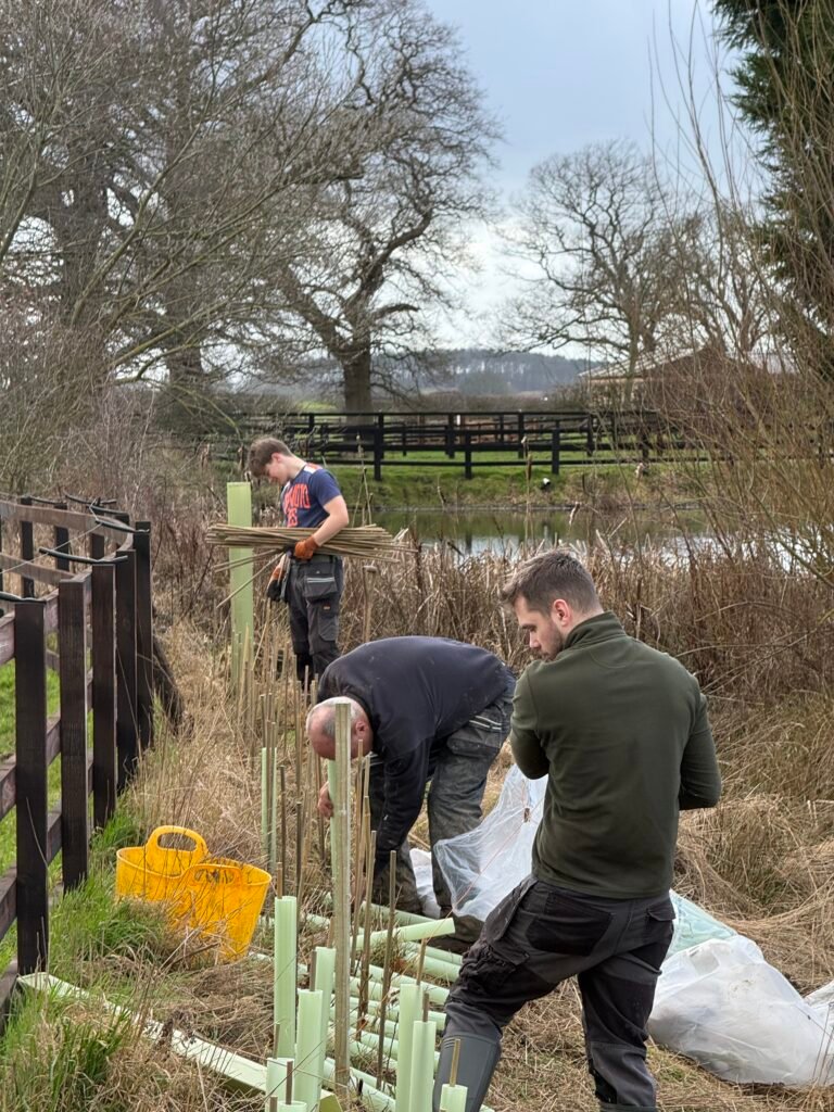 Terravetus native hedge planting and woodland creation project on a UK farm.
